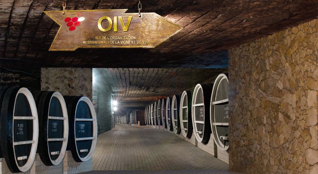 Milestii Mici - the old traditions of winemaking
