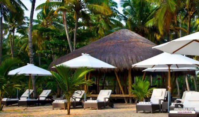 ОТЕЛЬ CARNOUSTIE AYURVEDA & WELLNESS RESORT 5*