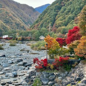 Japonia de la Est la Vest (TYO-TYO) — Toamnă